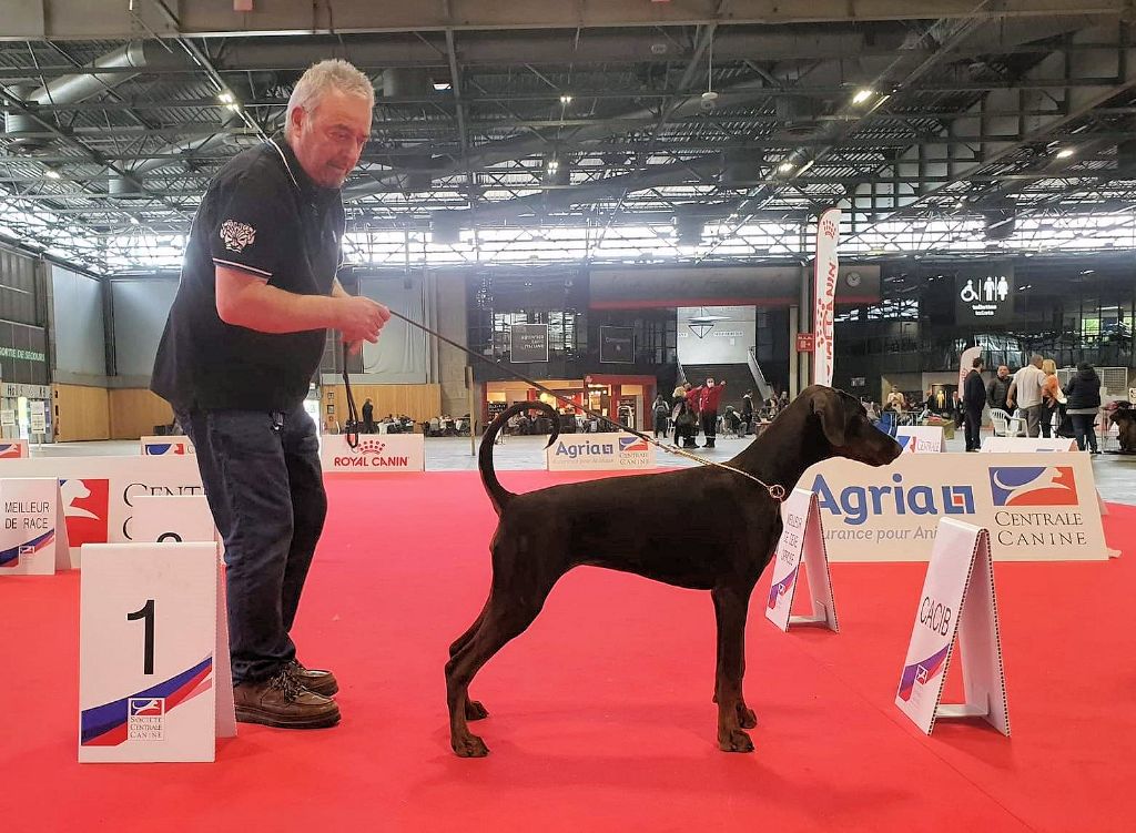 CH. Sircey Della Guardia Nera